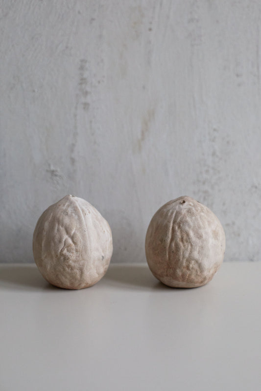 Salt & Pepper Shakers in ceramic